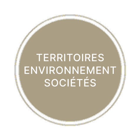 collection logo